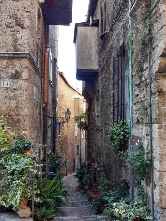 Historical Domus * Anagni