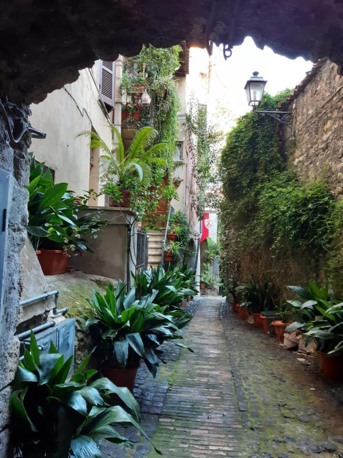 Historical Domus Apartment Anagni