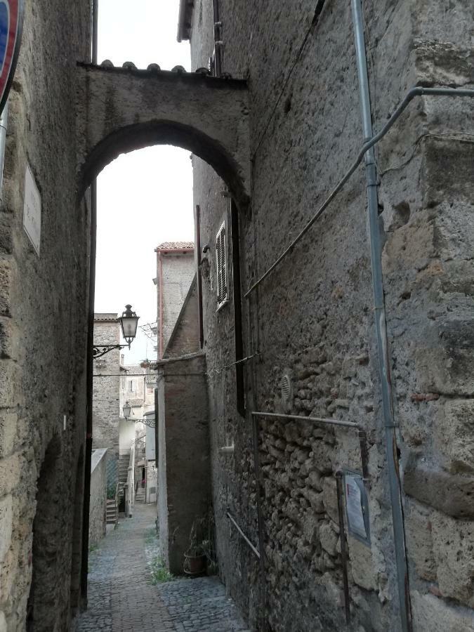 Historical Domus Apartment *