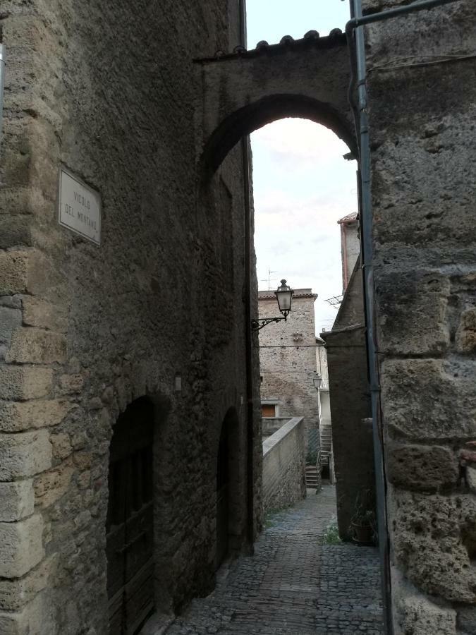 Apartment Historical Domus